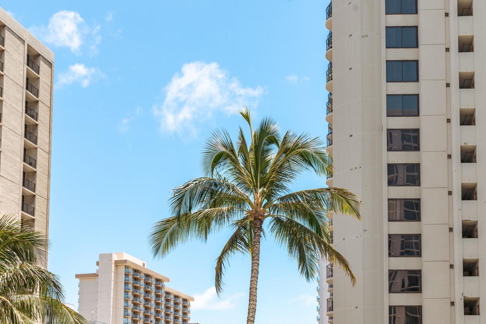 Cozy Waikiki Getaway, Stroll To Beach With Free Parking Honolulu Exterior foto